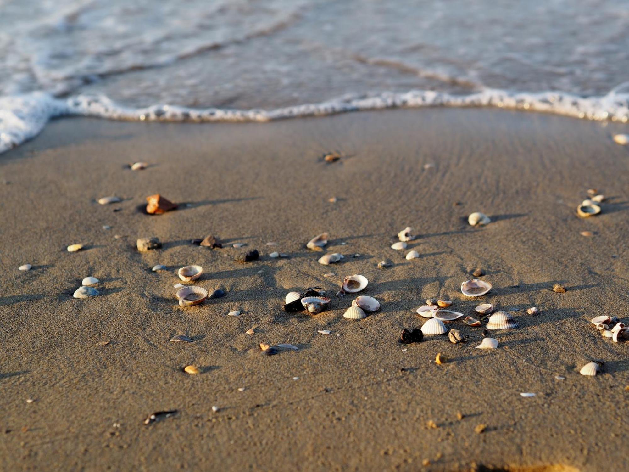 Beautiful Apartment Close To Bibione Beach - Beahost 外观 照片